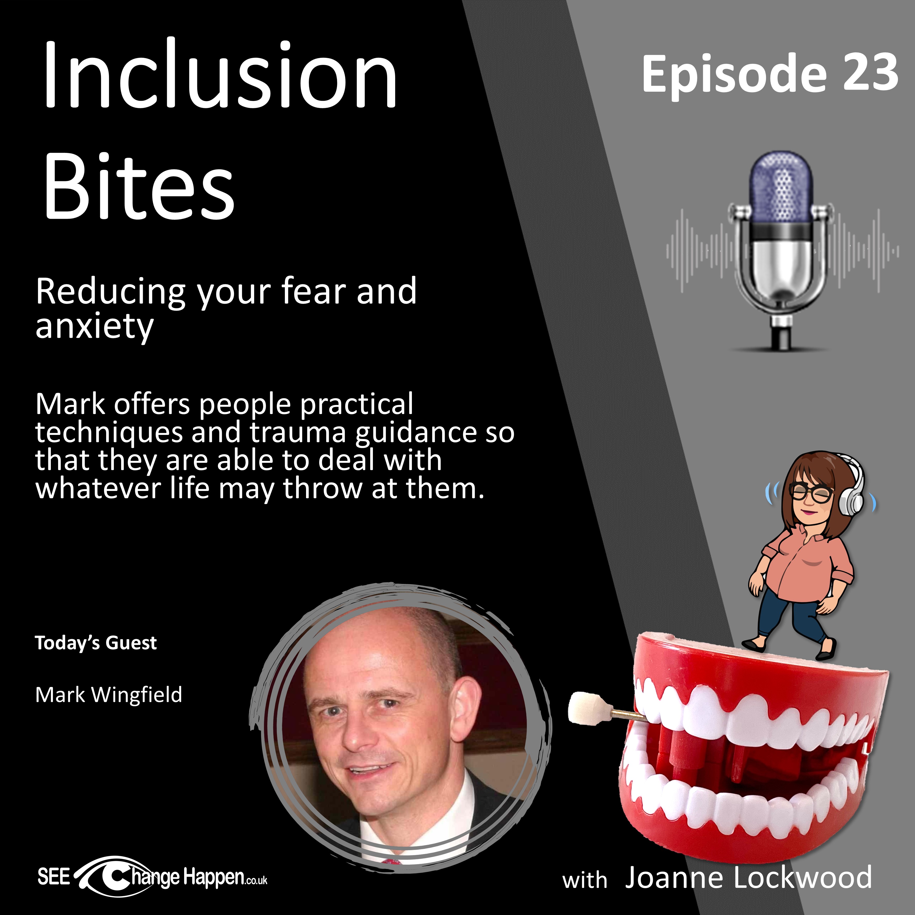 The Inclusion Bites Podcast