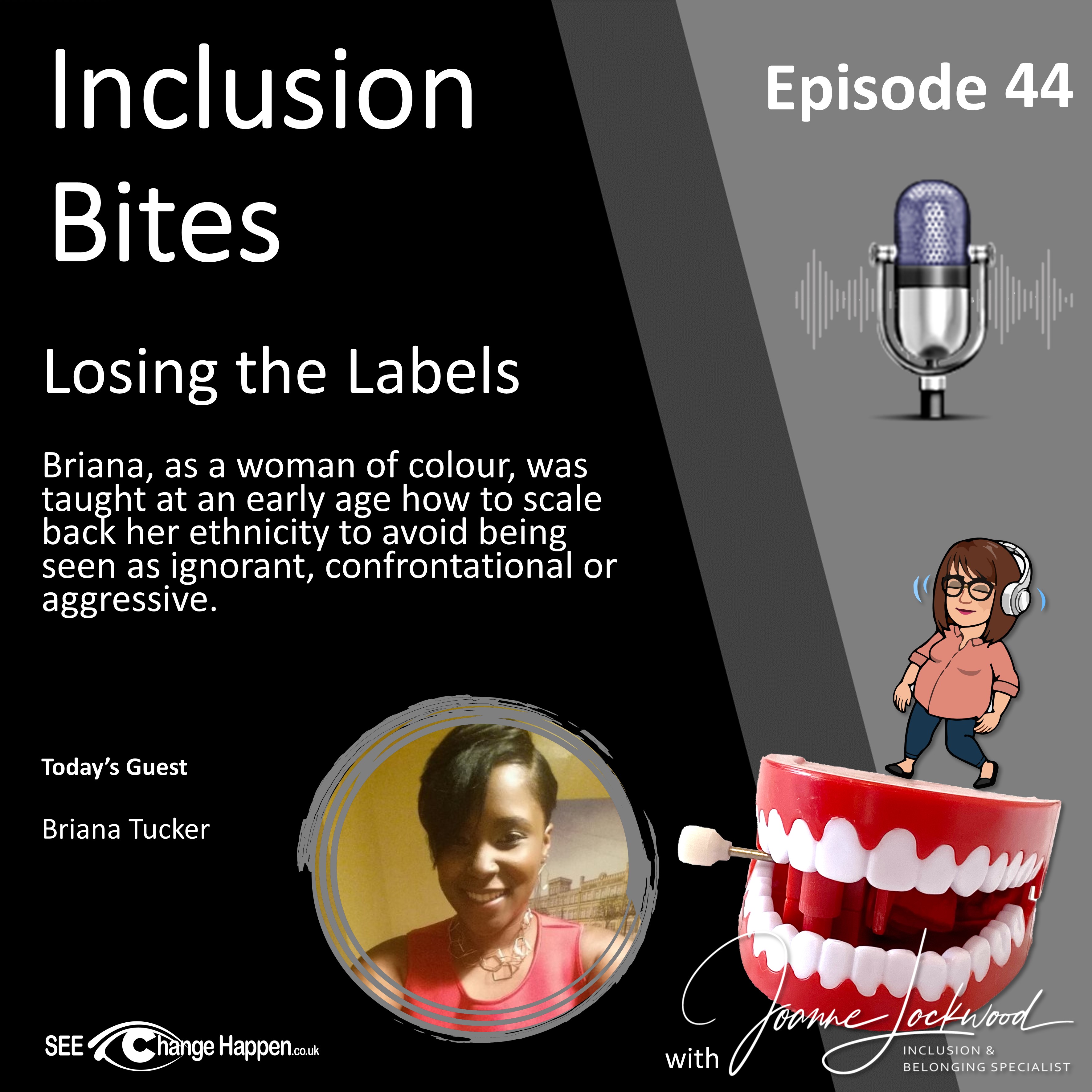 The Inclusion Bites Podcast