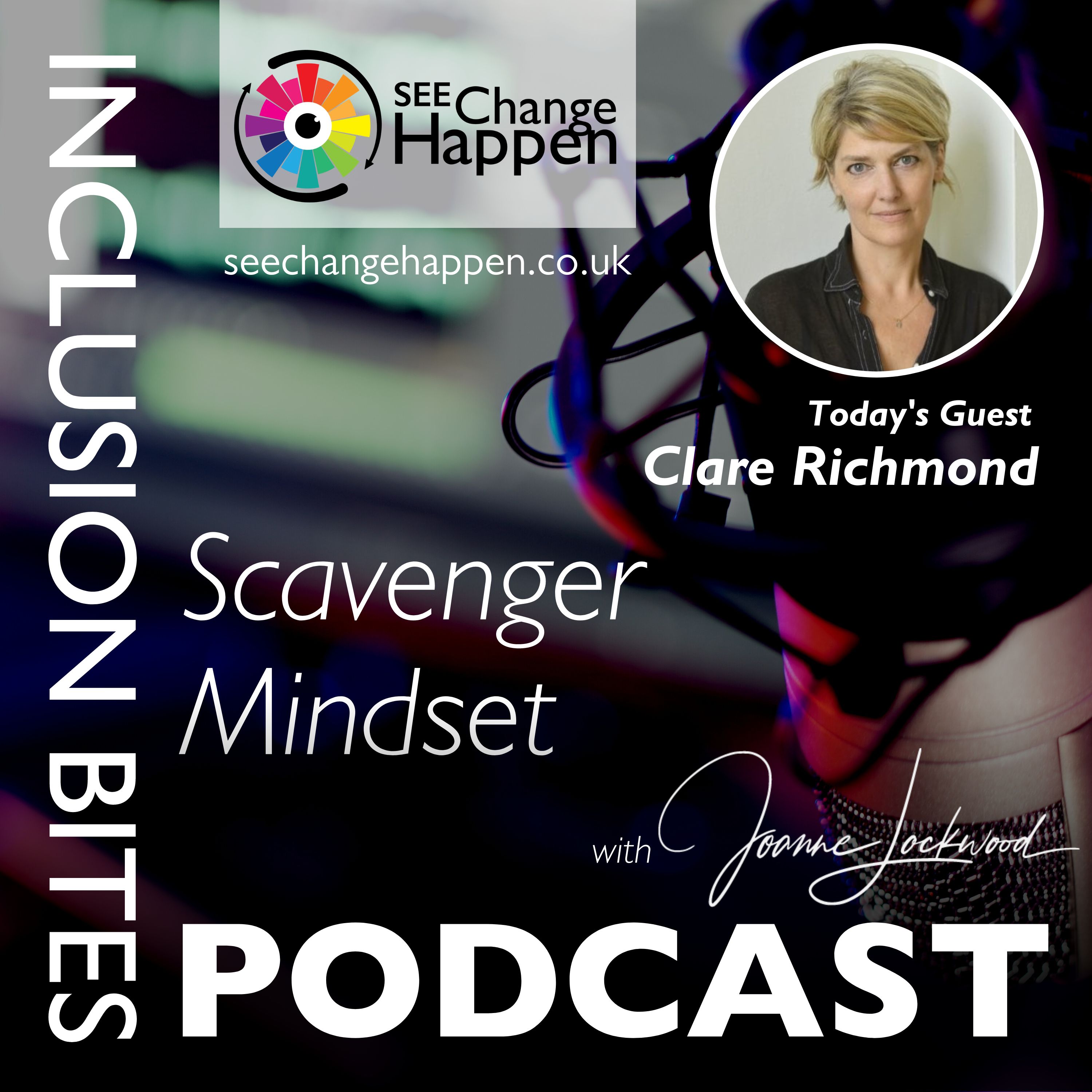 The Inclusion Bites Podcast
