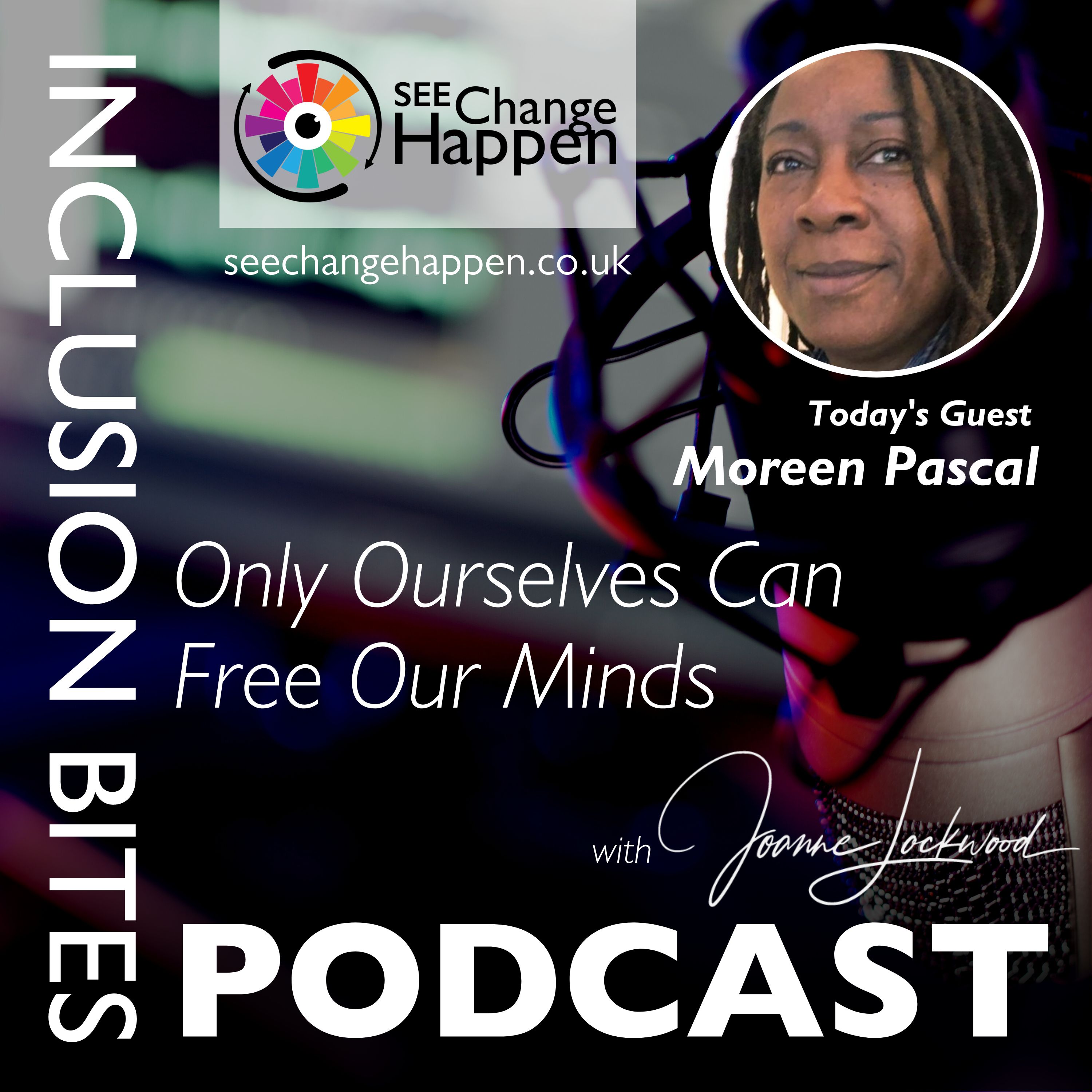 The Inclusion Bites Podcast