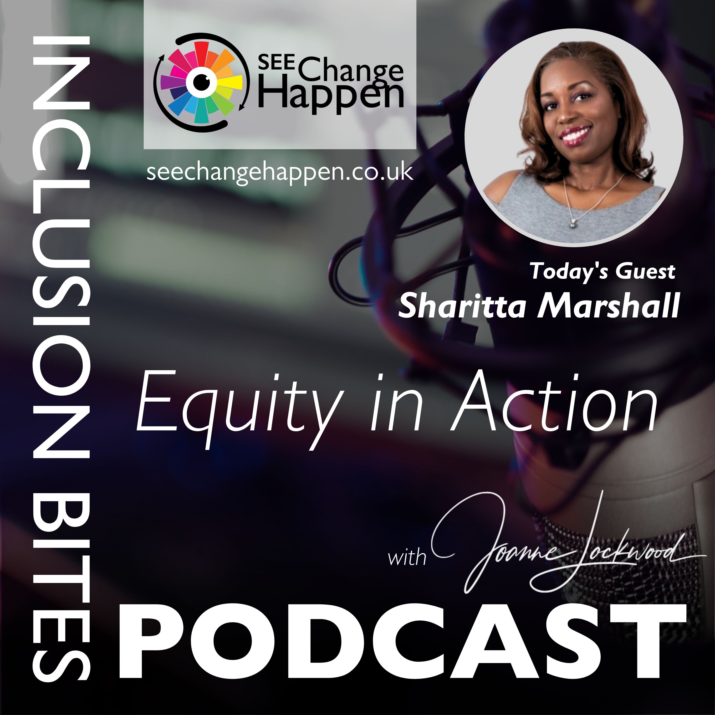 The Inclusion Bites Podcast