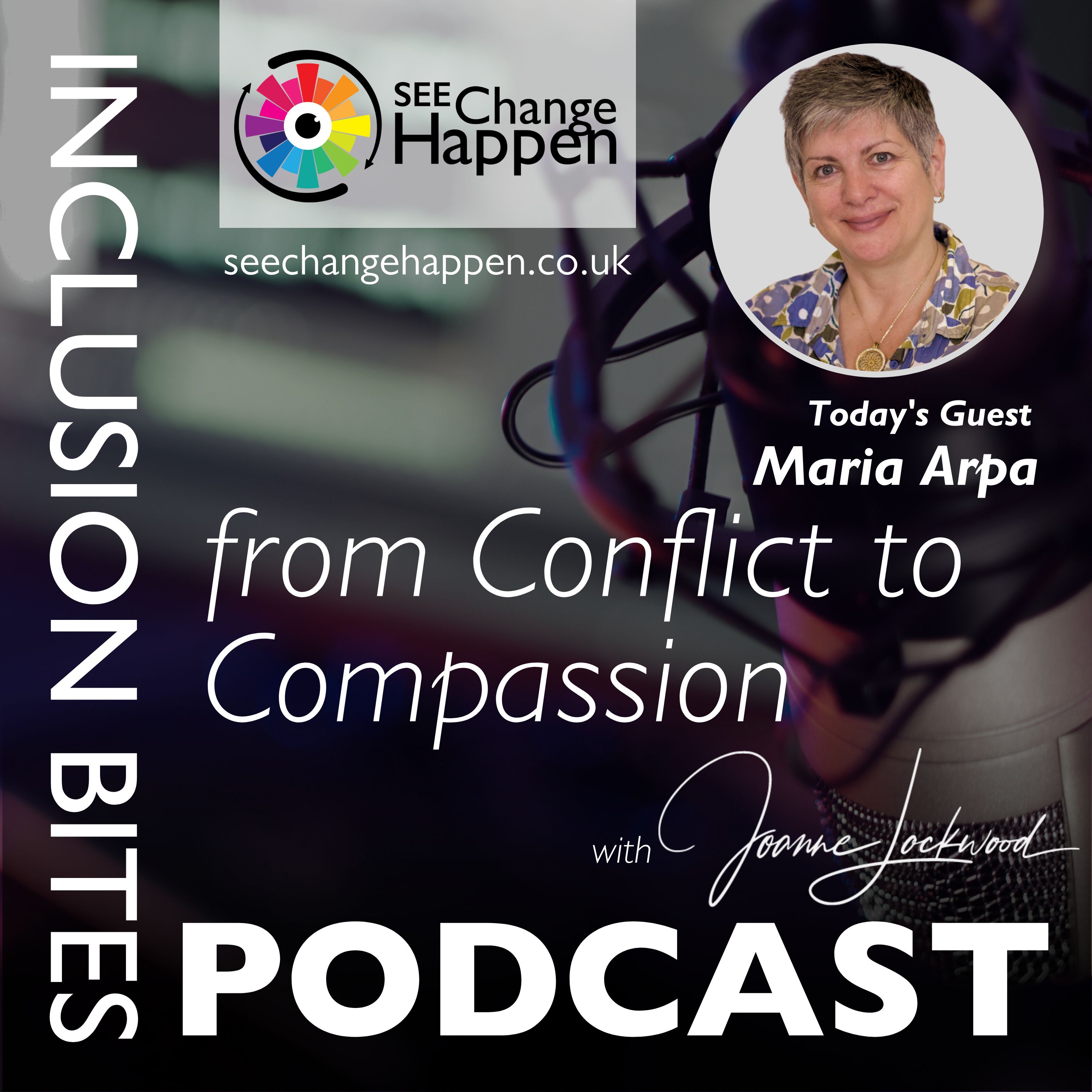 The Inclusion Bites Podcast