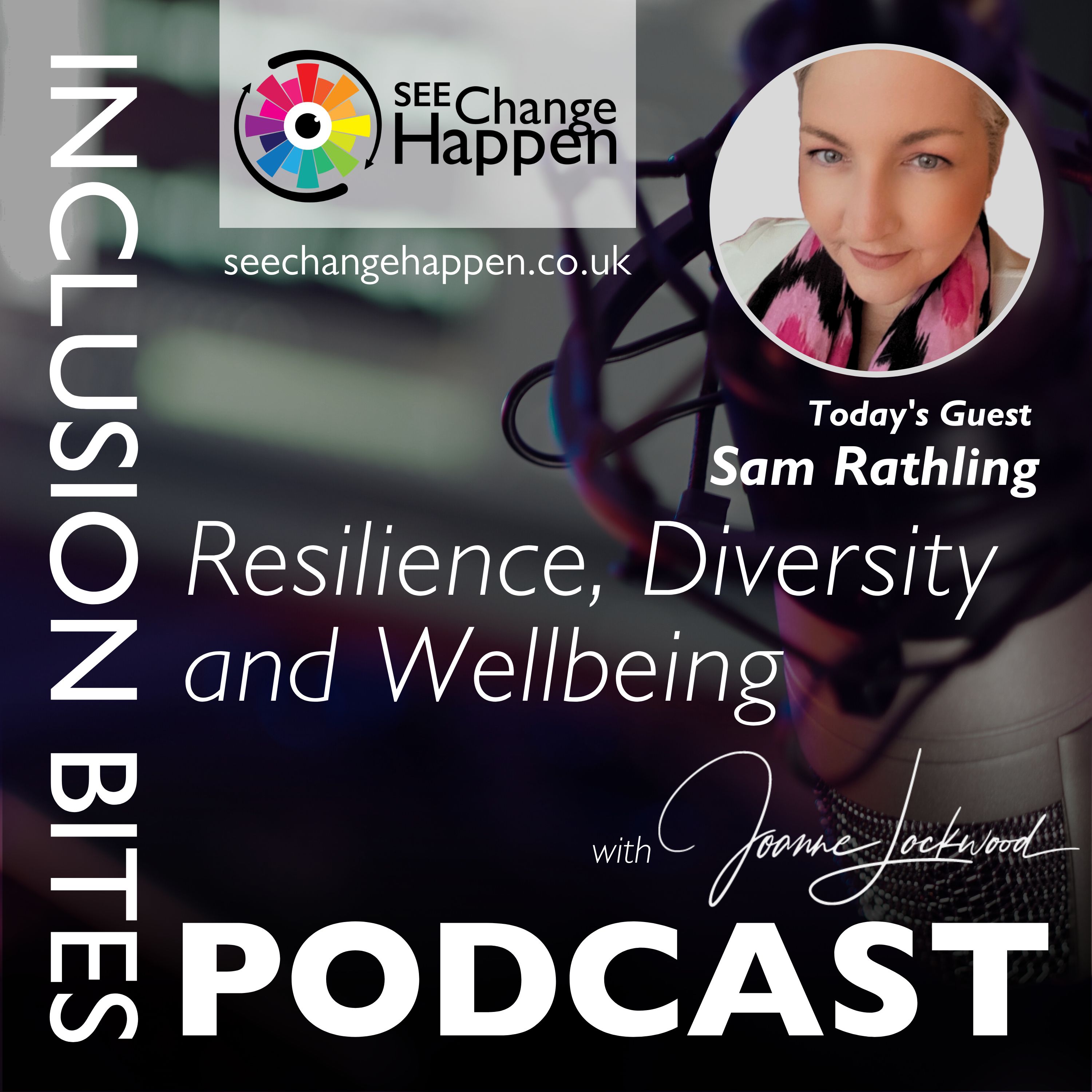 The Inclusion Bites Podcast