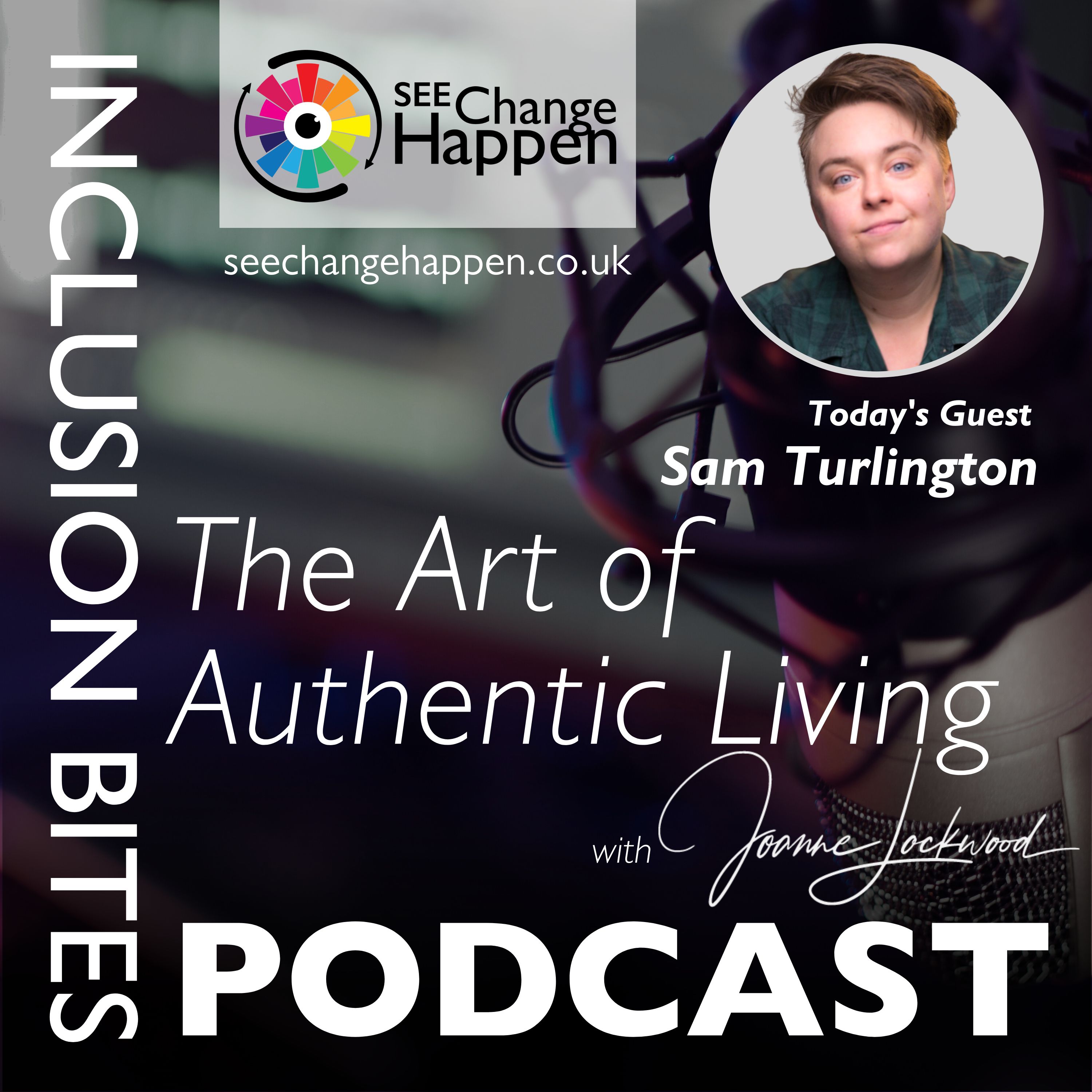 The Inclusion Bites Podcast